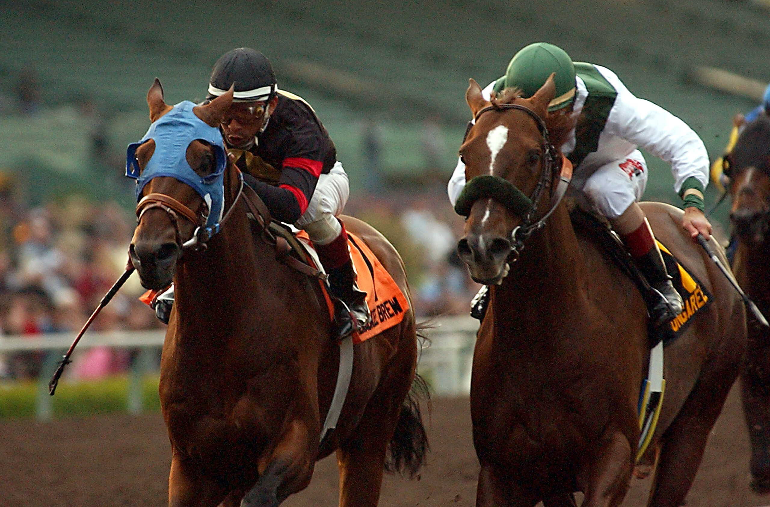 The Thrill of the Track: Exploring the Exciting World of Horse Racing - Chicago Together